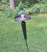 Golfaholic review photo