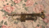 Daniel F. review photo