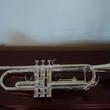 Desiree W. review photo