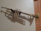 David G. review photo
