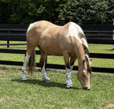 Kim Rogers review photo