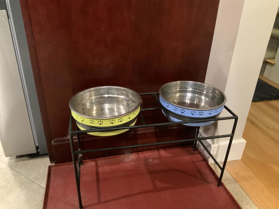 Corsa Stainless Steel Pet Bowl — Jeffers