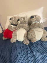 Frosty review photo