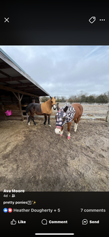 JoAnn Mount review photo
