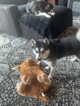 Deborah Hires review photo