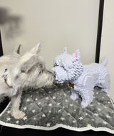 匿名 review photo