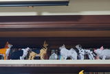 匿名 review photo
