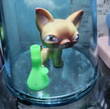 Soda review photo