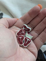 Carissa review photo
