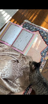 Noor review photo