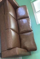 Jason Taylor review photo