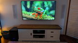 Domenic M. review photo