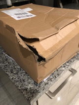 Gert F. review photo