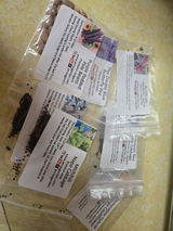 Maddison review photo