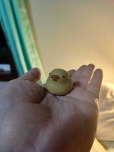 Anonymous review photo