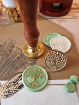 Evelien Doornbos review photo