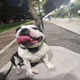 ב.ב. review photo