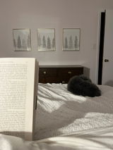Hildegard review photo