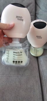 Ying Hoi review photo