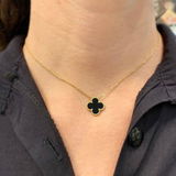 Clare Z. review photo