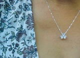 Dora S. review photo