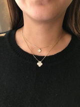 Taylor B. review photo