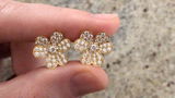 Corina G. review photo