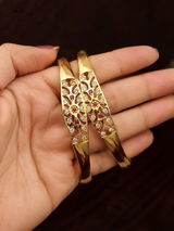 Priya Sharma, Jaipur review photo