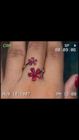 Somisha Bose review photo