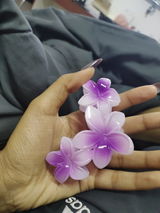 Shruti . review photo