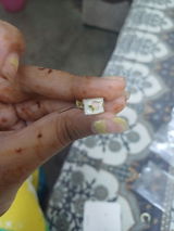 Jhanvi Paliwal review photo