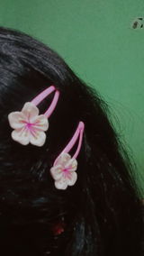 Sushila Birua review photo