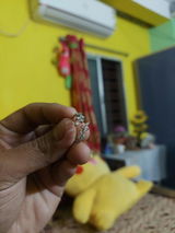 Bishwajit Ghosh review photo