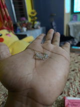 Bishwajit Ghosh review photo