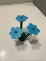 Olha M review photo