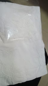 Shruti Jain review photo
