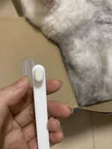 P***a review photo