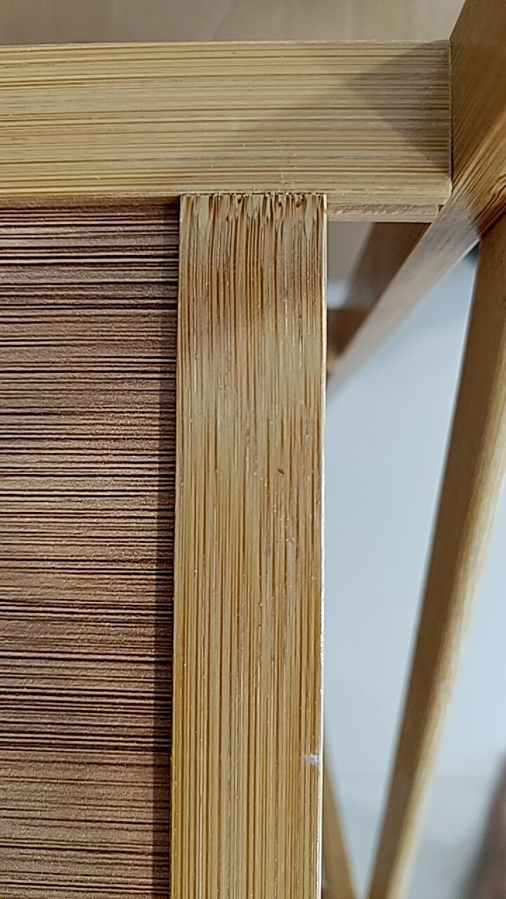 lspmommy review photo