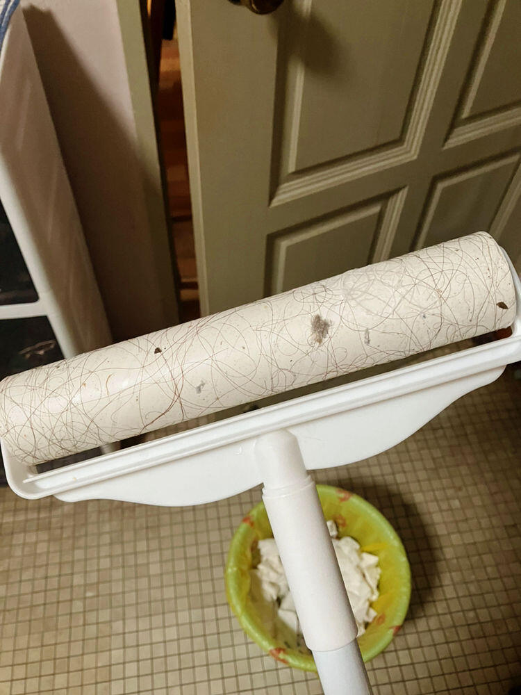 samlim1528 review photo