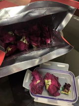 Rose review photo