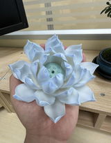 Anny review photo
