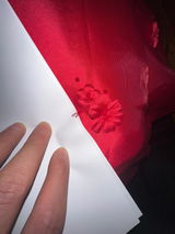 Ammen review photo