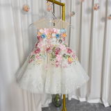 Kelly Amshoff review photo