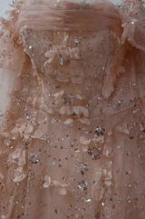 Ross review photo