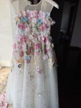 hailey procter review photo