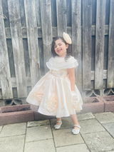 Amelia review photo