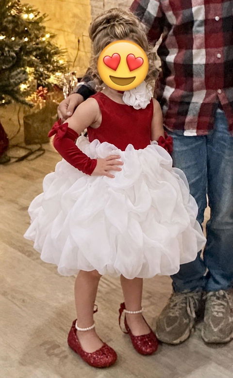 Elegant Flower Girl Dress for Girls Rose Bud Tulle Party Dress for Party M078