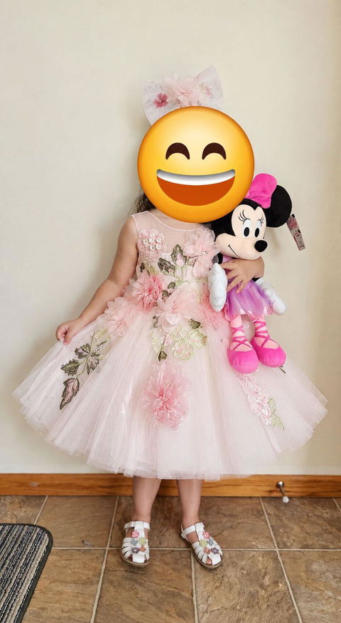 Floral Girl Dress Tulle Sleeveless Embroidered Toddler Kids 1st Birthday Party Gown J521