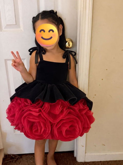 Black and Red Rose Skirt Flower Girl Dress D003