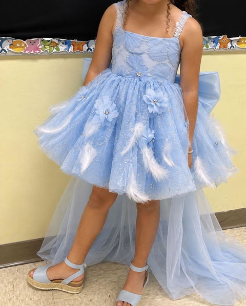 Blue Floral Feather Tulle Flower Girl Dress with Sheer Train J506